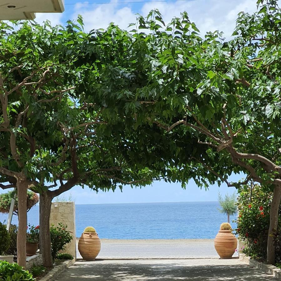 Eirini Apts On The Beach Psari Forada Ngoại thất bức ảnh